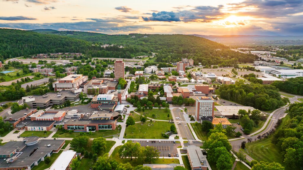 University of Binghamton 