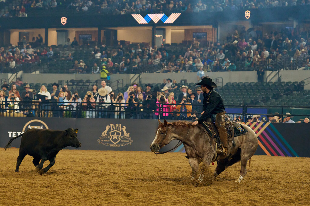 The American Rodeo 