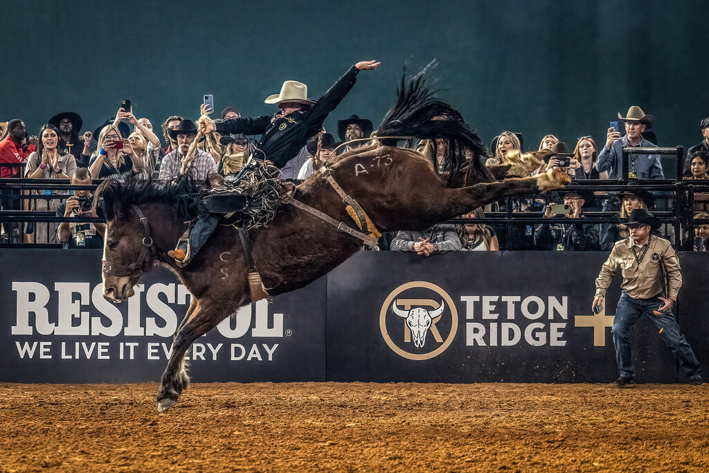 The American Rodeo 